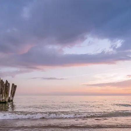 Leaf Vanagupe Паланга