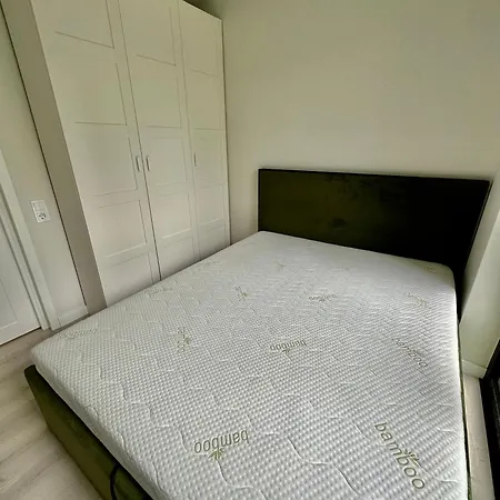 Leaf Vanagupe Паланга