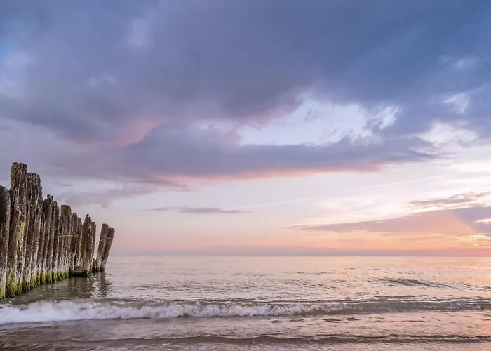 Leaf Vanagupe Palanga