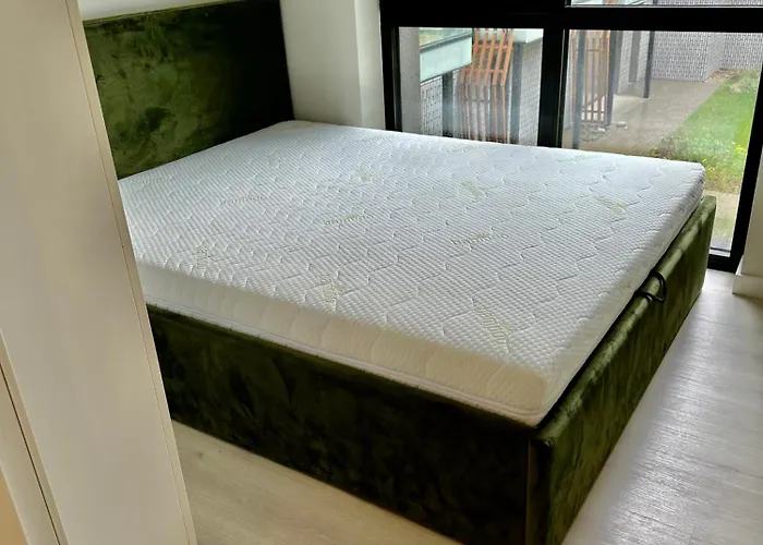 Apartment Leaf Vanagupe Palanga