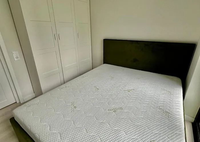 Leaf Vanagupe Palanga